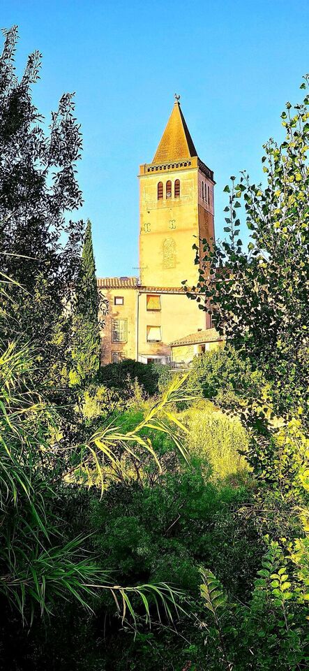 Le clocher de l'église